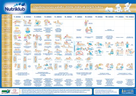 mapa psychomotorického vývoja 1.-3. rok
