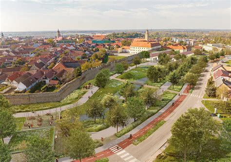 Maorský pohľad na placentu