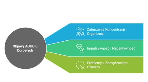 Infografika znázorňujúca možné príčiny ADHD