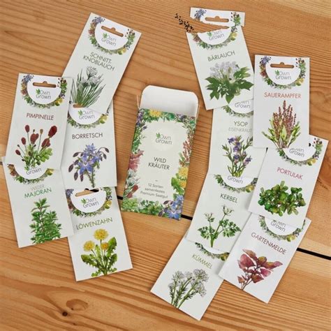 Ilustrácia rôznych druhov liečivých bylín