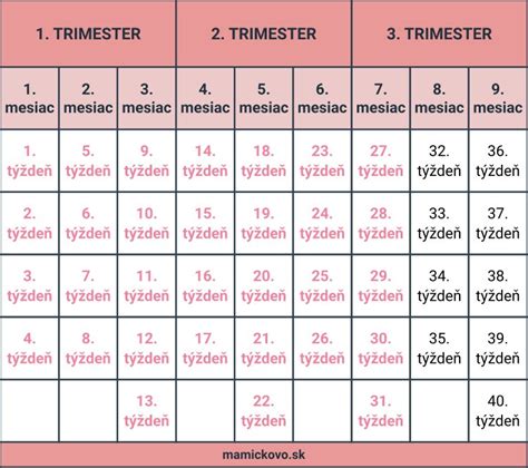 Kalendár tehotenstva s fázami rastu dieťaťa