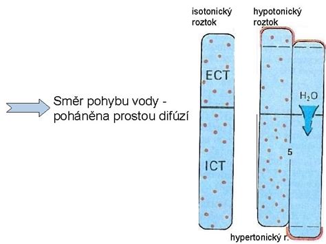 Infografika porovnávajúca izotonický, hypotonický a hypertonický roztok
