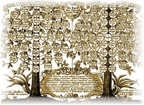 Genealógia a rodostromy