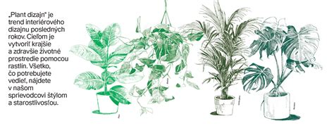 Ilustrácia rôznych druhov bielkovín povolených v plážovej diéte