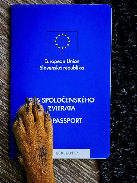 Centrálny register spoločenských zvierat (CRSZ)