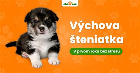 Kontrola zdravia šteniatka