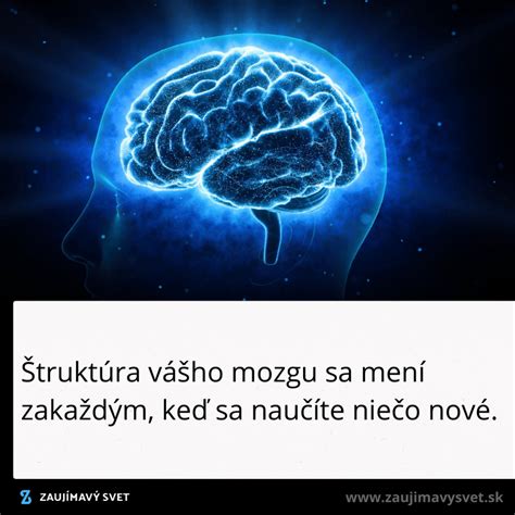 Štruktúra mozgu s vyznačenými oblasťami ovplyvnenými traumou