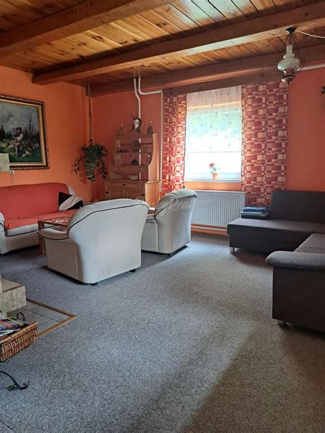 Anatómia semenníka, kde sa tvoria spermie