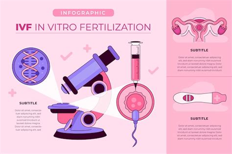 Infografika zobrazujúca proces IVF