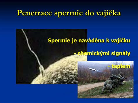 Grafické znázornenie vplyvu chemoterapie na spermie a vajíčka
