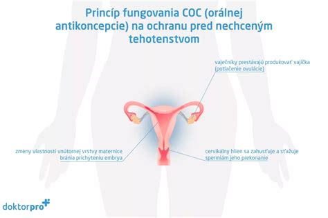 Schéma fungovania hormonálnej antikoncepcie