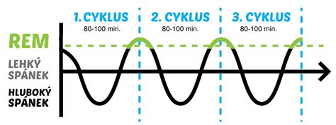 Spánkové cykly u detí a dospelých