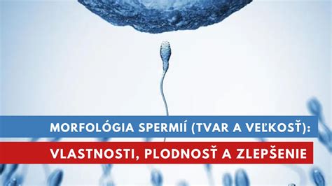 Graf porovnávajúci kvalitu spermií s vekom muža