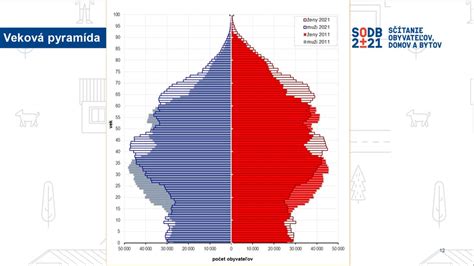 Demografická pyramída Slovenska
