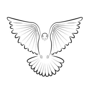 Symbol vody a holubice pri krste