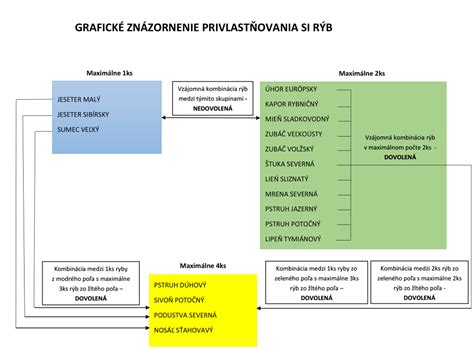 Grafické znázornenie vývoja dieťaťa