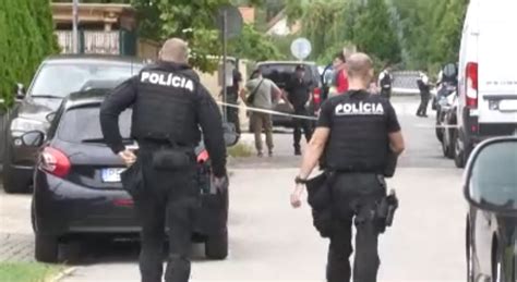 Obrázok tehotnej ženy s 