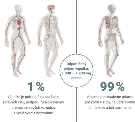 Zrážanie krvi v ľudskom tele