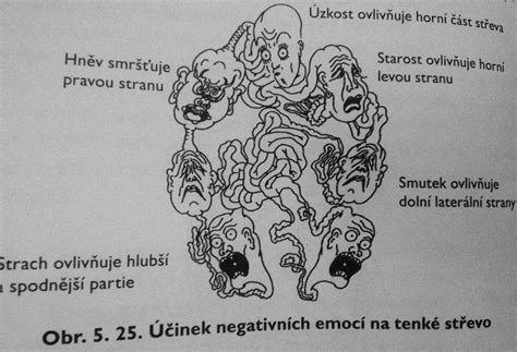 Grafika zobrazujúca rôzne emócie spojené so stratou