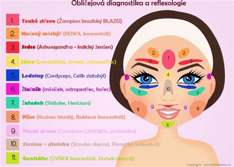Mapa tváre s vyznačenými problémovými oblasťami akné