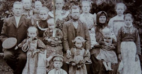 Ilustrácia zvieracej rodiny s mláďaťom