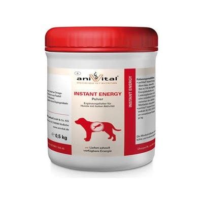 Ilustrácia zdravej stravy pre psa