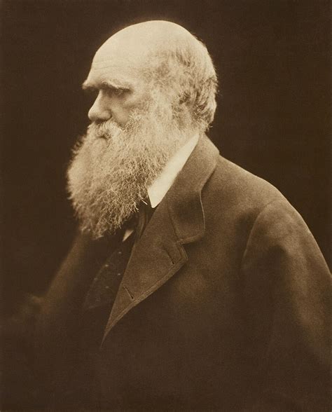 Charles Darwin a evolúcia