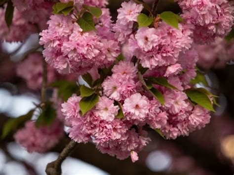 Detail zlatých prvkov na obraze 