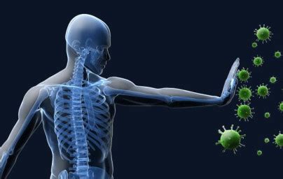 Ilustrácia črevného mikrobiómu a jeho vplyvu na imunitný systém