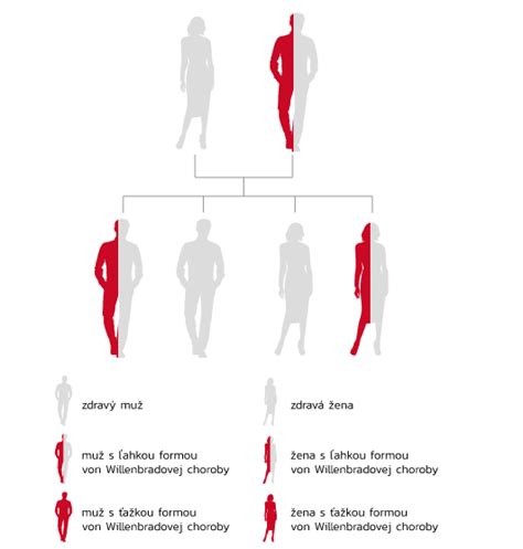 Schéma dedičnosti autozomálne dominantného znaku