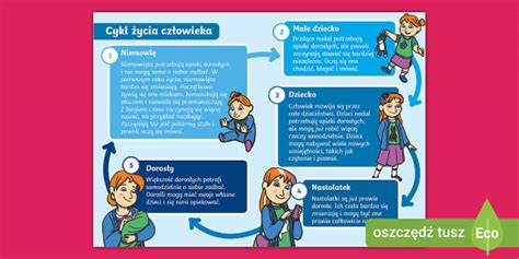 Infografika o ženskom cykle a plodnosti