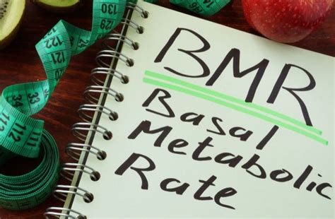 Výpočet bazálneho metabolizmu