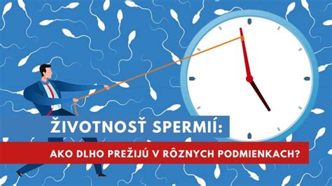 Infografika o dĺžke života spermií v ženskom tele