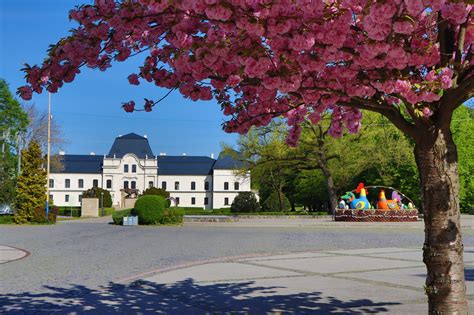 Ilustrácia modernej škôlky s ihriskom