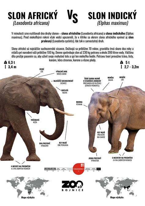 Infografika: Rozdiel medzi asertivitou a agresivitou