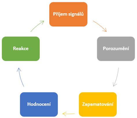 Schéma terapeutického trojuholníka: terapeut, klient, kôň