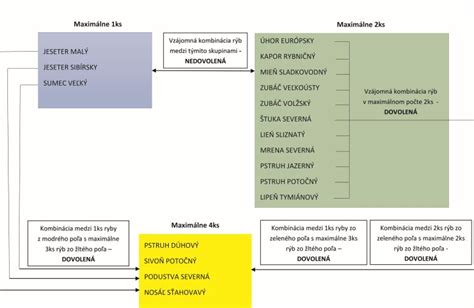 Grafické znázornenie makroživín a ich zdrojov