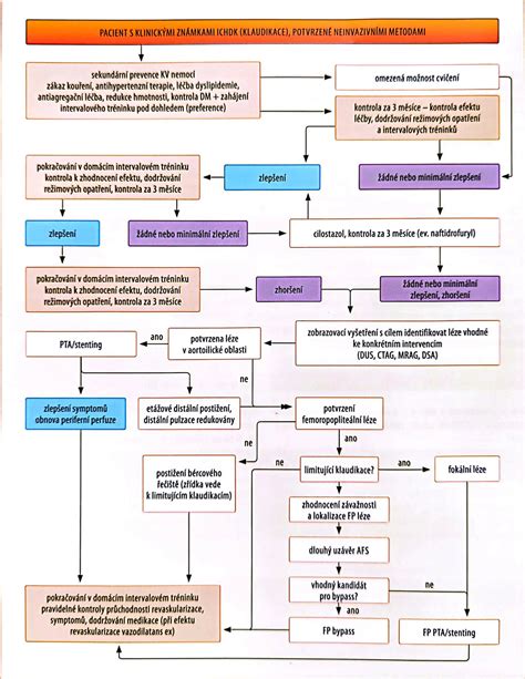 Infografika zobrazujúca možné problémy s cievami dolných končatín