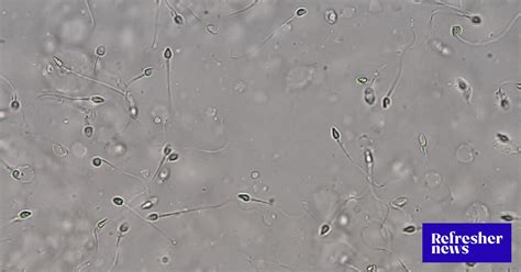 Ilustrácia ženy vyberajúcej darcu spermií z katalógu