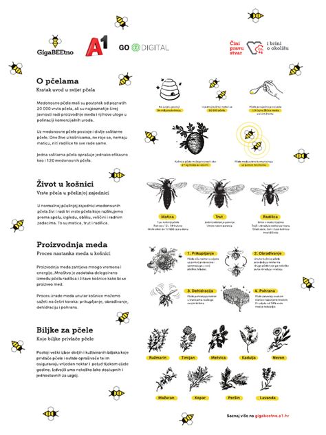 Infografika o procese umelého oplodnenia a etických dilemách