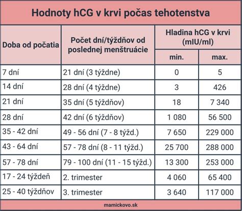 Schéma produkcie hormónu hCG v tele ženy počas tehotenstva