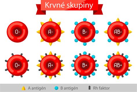 Schéma dedenia krvných skupín