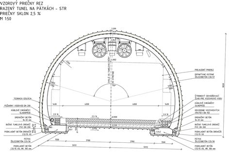 Priečny rez maternicou s označenými vrstvami