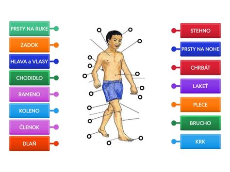 Ilustrácia otvárajúcej sa časti ľudského tela s otázkou od Maestra