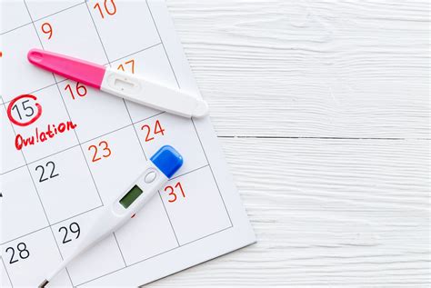 Kalendár ovulácie
