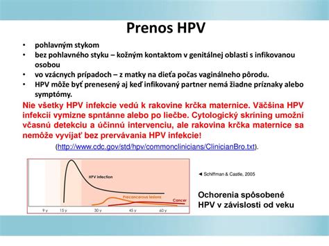 Schéma prenosu HPV na dieťa počas pôrodu