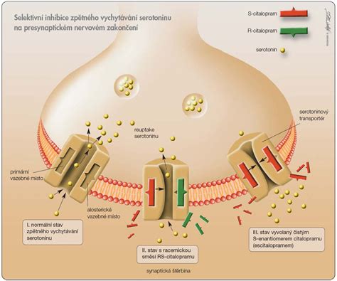 Ilustrácia postihnutia nervových zakončení pri postherpetickej neuralgii