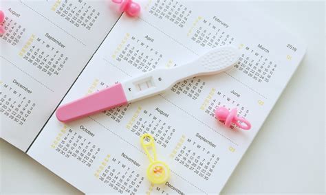 Tehotenský kalendár a dôležité vyšetrenia