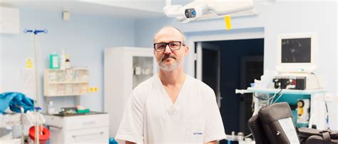 Anatomické znázornenie panvových orgánov ženy