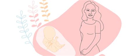 Ilustrácia zobrazujúca svietenie baterkou na brucho tehotnej ženy